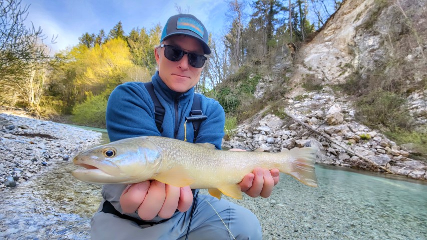 another Marble trout Slovenia.